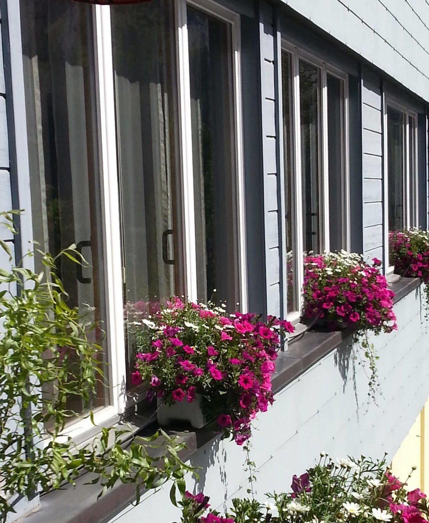 Hotel Streiff - The Excelsior Arosa Exterior foto